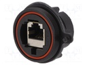 Coupler; Buccaneer Ethernet; PIN: 8; Contacts: phosphor bronze