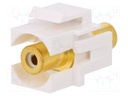 Socket; Transition: coupler; female x2; Keystone; straight