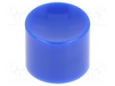 Pushbutton; Illumin: none; Body: blue; Mat: ABS; Man.series: MPA