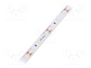 LED tape; white cold; 2835; 12V; LED/m: 60; 10mm; IP33; 12W/m