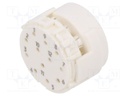 Connector: M23; contact insert; male; w/o contacts; PIN: 12; 200V