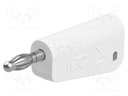 Plug; 4mm banana; 19A; white; nickel plated; Mounting: on cable