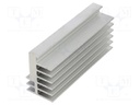 Heatsink: extruded; grilled; natural; L: 100mm; W: 30mm; H: 45mm; raw