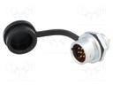 Socket; male; SF12; PIN: 7; IP67; 5A; soldering; 125V; 0.75mm2