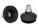 Component: suction cup; Man.series: FSGA; Mounting: G1/4-AG; 19g
