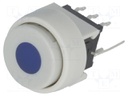 Switch: keypad; Pos: 2; DPDT; 0.1A/30VDC; white; Illumin: LED; blue