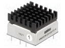 Converter: DC/DC; 20W; Uin: 9÷36V; 12VDC; Iout: 1.67A; 1"x1"; 23.4g