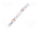 LED tape; white warm; 2835; 12V; LED/m: 60; 10mm; IP64; 12W/m