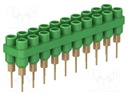 Socket strip; 2mm banana; green; 60VDC; 10A; 30VAC; Sockets: 20; 6mm
