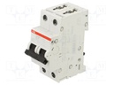 Circuit breaker; 400VAC; 400VDC; Inom: 25A; Poles: 2; Charact: B