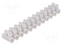 Terminal block; screw terminal; ways: 12; 1.5÷6mm2; terminals: 24