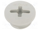 Stopper; M12; 1.5; IP56; Mat: polyamide; Body: light grey; 6mm
