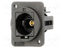Connector: fiber optic; coupler; Toslink socket,both sides