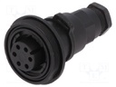 Connector: circular; plug; female; PIN: 6; Buccaneer Standard; IP68