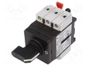Main emergency switch-disconnector; Poles: 3; 25A; TeSys VARIO