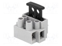 Terminal block; screw terminal; ways: 2; 0.5÷2.5mm2; terminals: 4