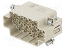 HEAVY DUTY INSERT, PLUG, 10B, 75+PE POS