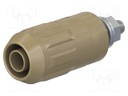 Socket; 4mm banana; 20A; brown; insulated; screw