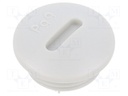 Stopper; PG9; IP56; Mat: polyamide; Body: light grey; Thread: PG; 6mm