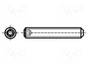 Screw; M6x5; DIN: 913; Head: without head; imbus; steel; HEX 3mm