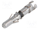Contact; male; 2÷6mm2; .140 MATE-N-LOK; tinned; crimped; 2.5÷4.5mm