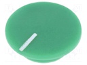 Cap; plastic; push-in; green; Application: K21