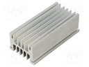 Heatsink: extruded; grilled; natural; L: 100mm; W: 50.7mm; H: 33mm