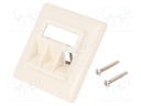 Socket; case; Keystone,unshielded; Colour: white; female