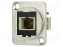 Connector: fiber optic; coupler; multi mode simplex (MM)
