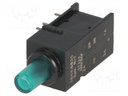 Switch: push-button; Pos: 2; DPDT; 0.5A/60VAC; 0.5A/60VDC; green