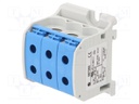Splice terminal: rail; STB; 50mm2; ways: 1; terminals: 6; blue; TS35
