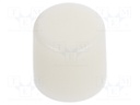 Cap; Man.series: MB; Colour: white