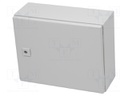 Enclosure: wall mounting; X: 300mm; Y: 380mm; Z: 155mm; AE; IP66; IK08