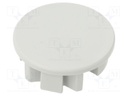 Cap for LED profiles; grey; JAZ