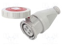 Connector: AC supply 3-phase; plug; female; 16A; 400VAC; IEC 60309
