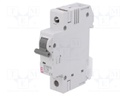 Circuit breaker; 230/400VAC; Inom: 10A; Poles: 1; DIN; Charact: D