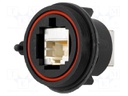 Coupler; Buccaneer Ethernet; PIN: 8; Contacts: phosphor bronze