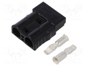 Connector: DC supply; plug; hermaphrodite; AXC50; 600V; PIN: 2; 50A