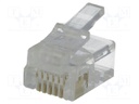 Plug; RJ12; PIN: 6; Contacts: phosphor bronze; gold-plated; UL94V-2