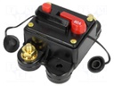 Fuse: automatic; automotive; 60A; black; 12÷48VDC; 78x52x37mm