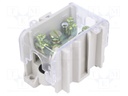 Terminal block; screw terminal; ways: 1; 35mm2; Colour: grey; 125A