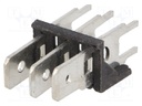 Terminal: spade terminal strip; 6.3mm; 0.8mm; THT; steel; tinned