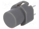 Switch: keypad; Pos: 2; SPST-NO; 0.01A/32VDC; grey; Mounting: THT