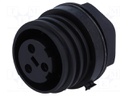 Connector: circular; socket; female; PIN: 3; Buccaneer 900; IP68