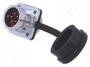 Socket; male; SF12; PIN: 5; IP67; 5A; soldering; 180V; 0.75mm2