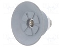 Suction cup; 50mm; 17.1g; G 1/8 M; Shore hardness: 55; 3.8cm3; SUF