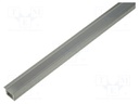 Profiles for LED modules; mat; recessed; L: 2m; aluminium
