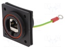 Coupler; Buccaneer Ethernet; PIN: 8; Contacts: phosphor bronze