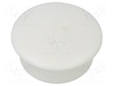 Accessories: stopper; H: 4mm; push-in; Flange dia: 12mm; white; LDPE