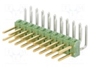 MOD2 PIN HEADER 10P